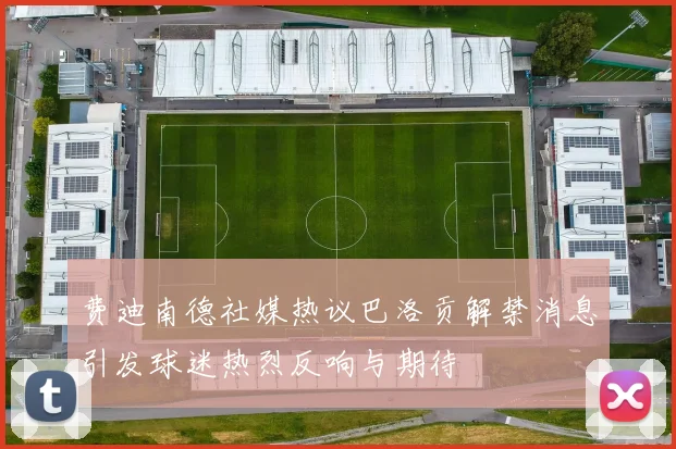 费迪南德社媒热议巴洛贡解禁消息引发球迷热烈反响与期待